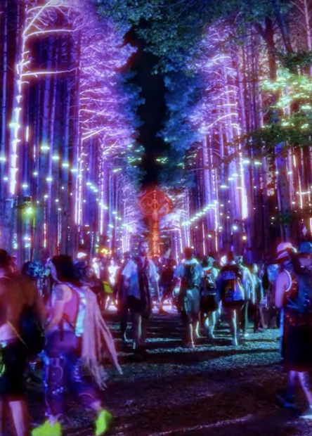 Photo courtesy of Electric Forest Instagram.